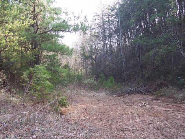 0 Hamlin Road Dobson, NC 27017 - Photo 4 of 5 Other. Path in woods.