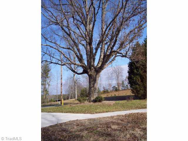 0 Hamlin Road Dobson, NC 27017 - Photo 5 of 5 Other. Shade tree in front yard.