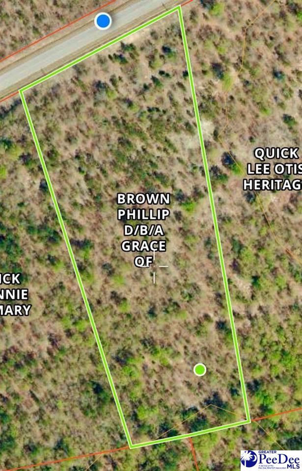 Old Wire Road West Bennettsville, SC 29512 - Photo 1 of 5 Gallery Image 1