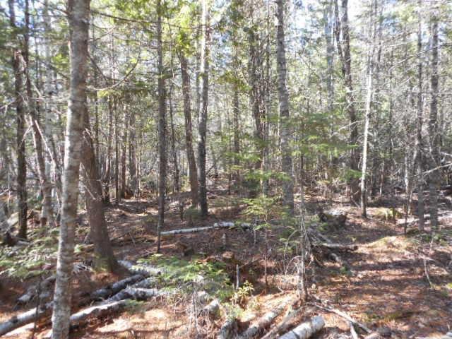 129 Commonwealth Raod Enfield, ME 04493 - Photo 24 of 35 Photo