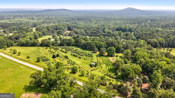 a view of a city with mountains in the background