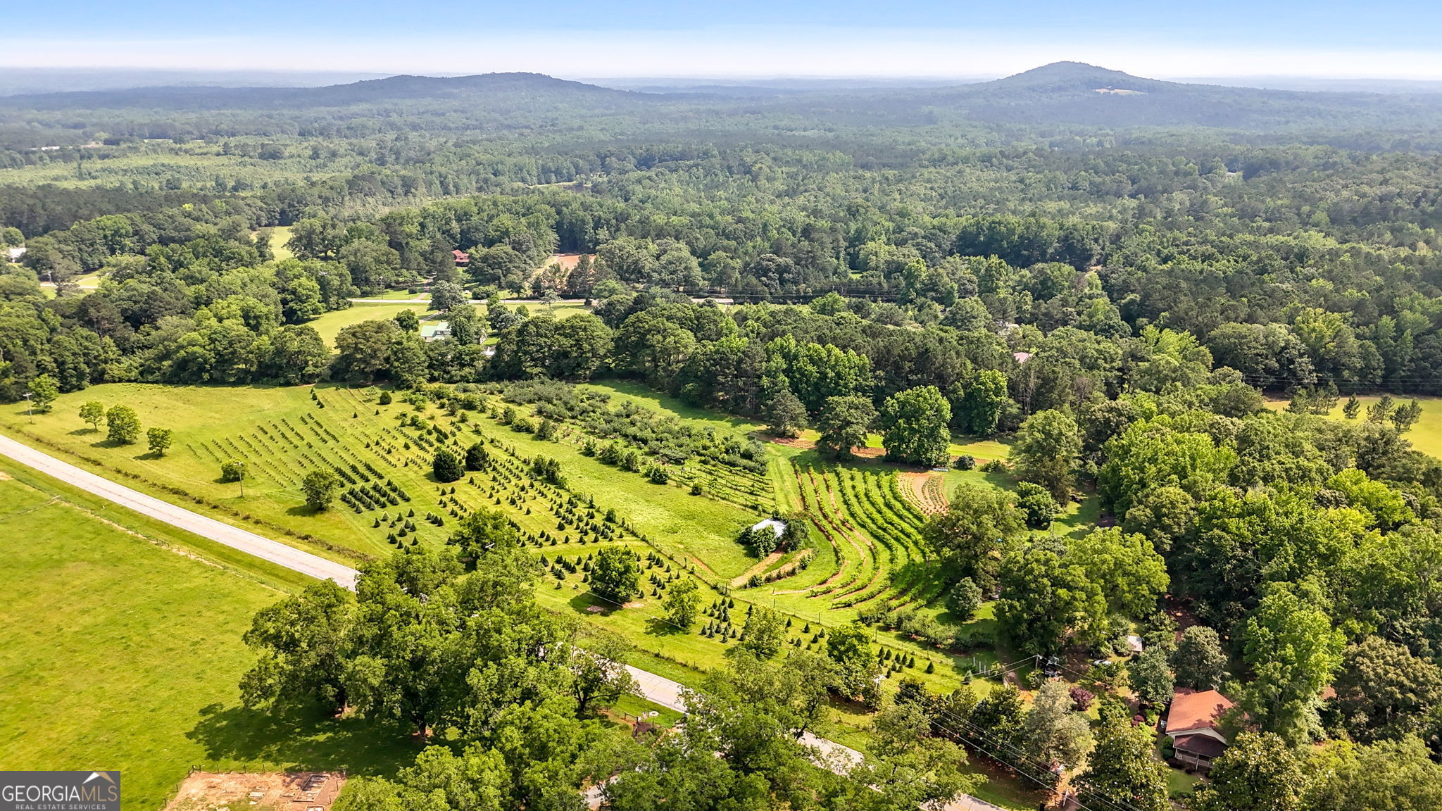 a view of a city with mountains in the background