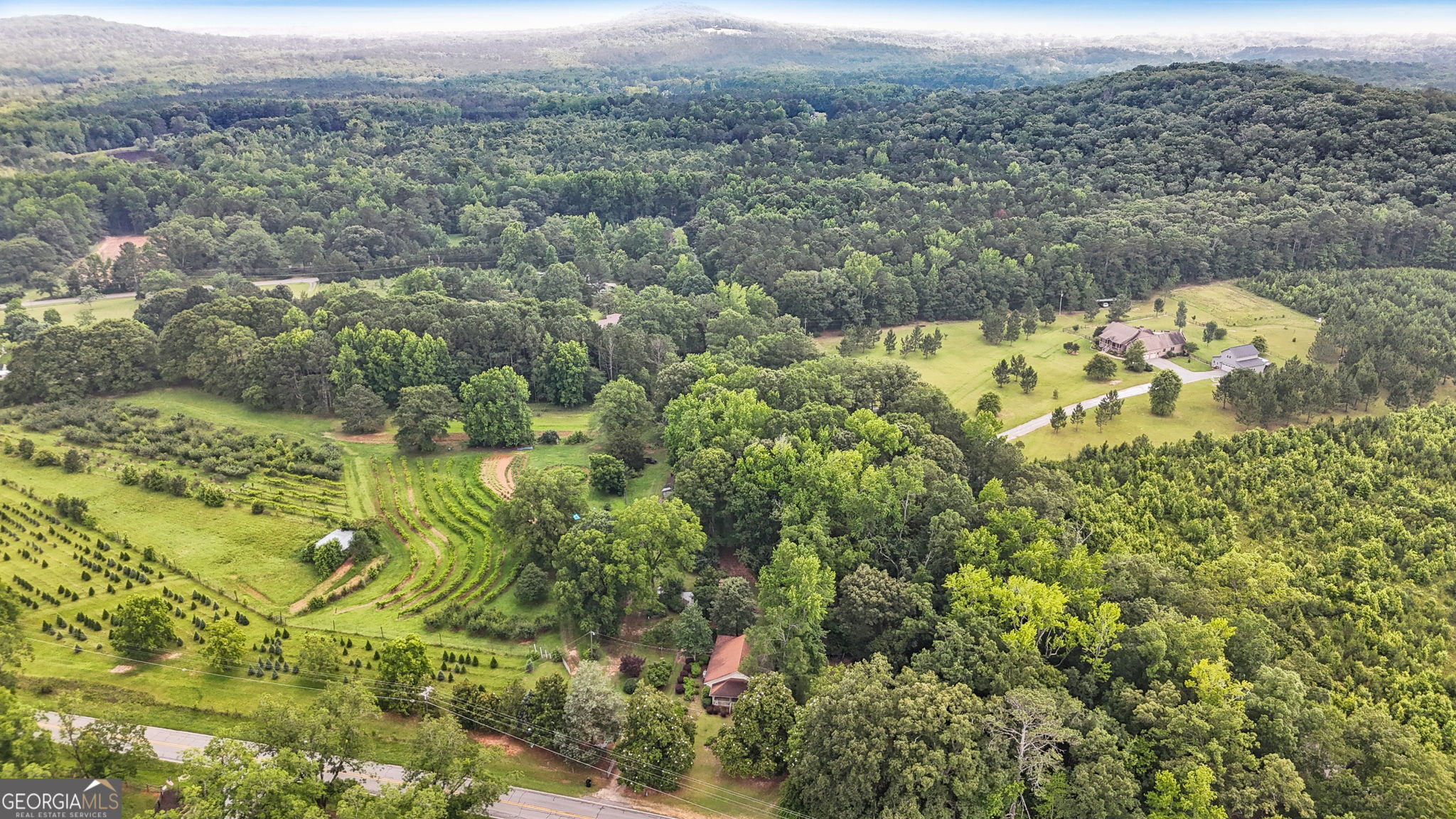 2037 Jeff Davis Road Thomaston, GA 30286 - Photo 2 of 60