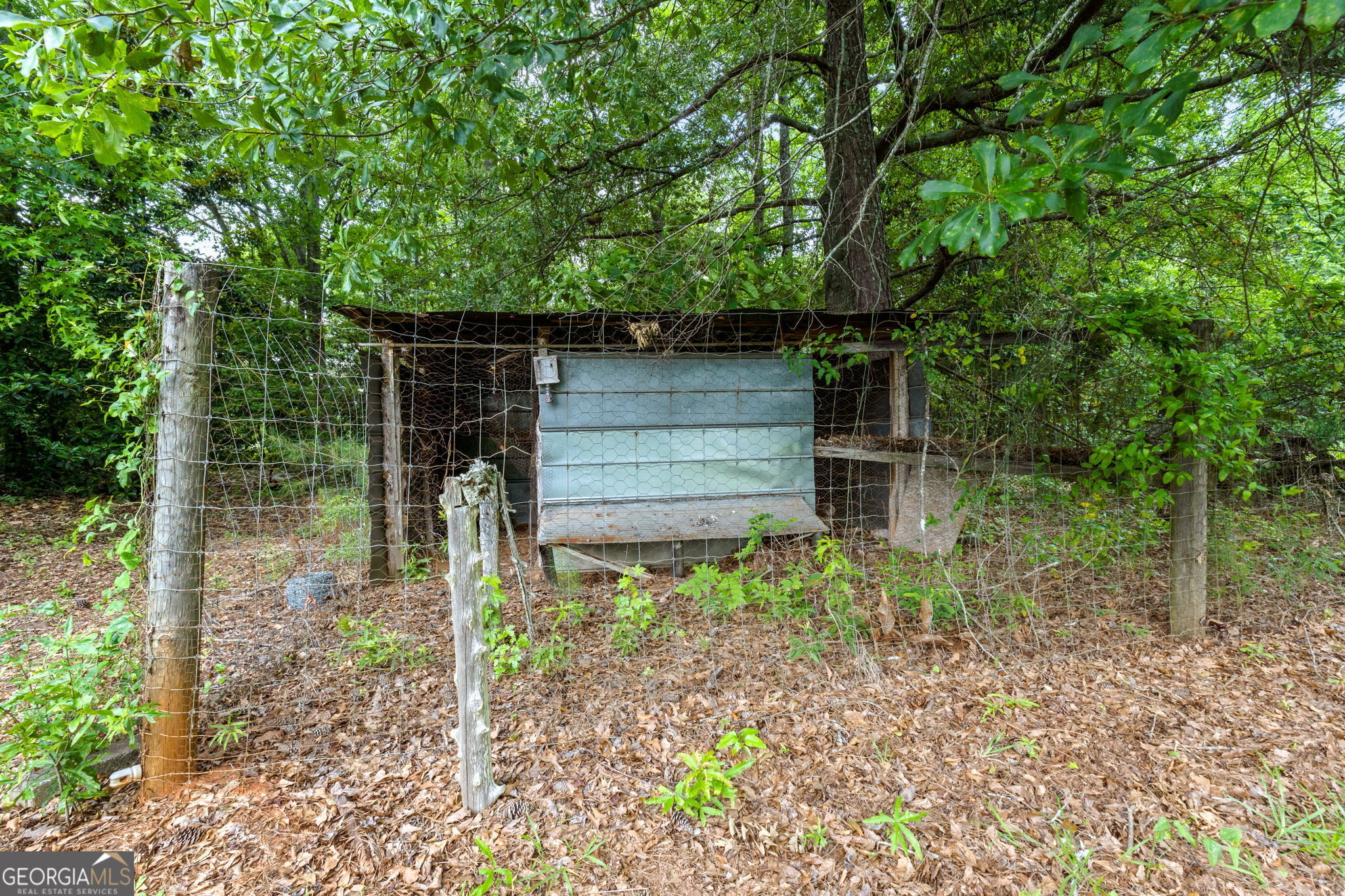 2037 Jeff Davis Road Thomaston, GA 30286 - Photo 25 of 60 a backyard of a house with plants and outdoor seating