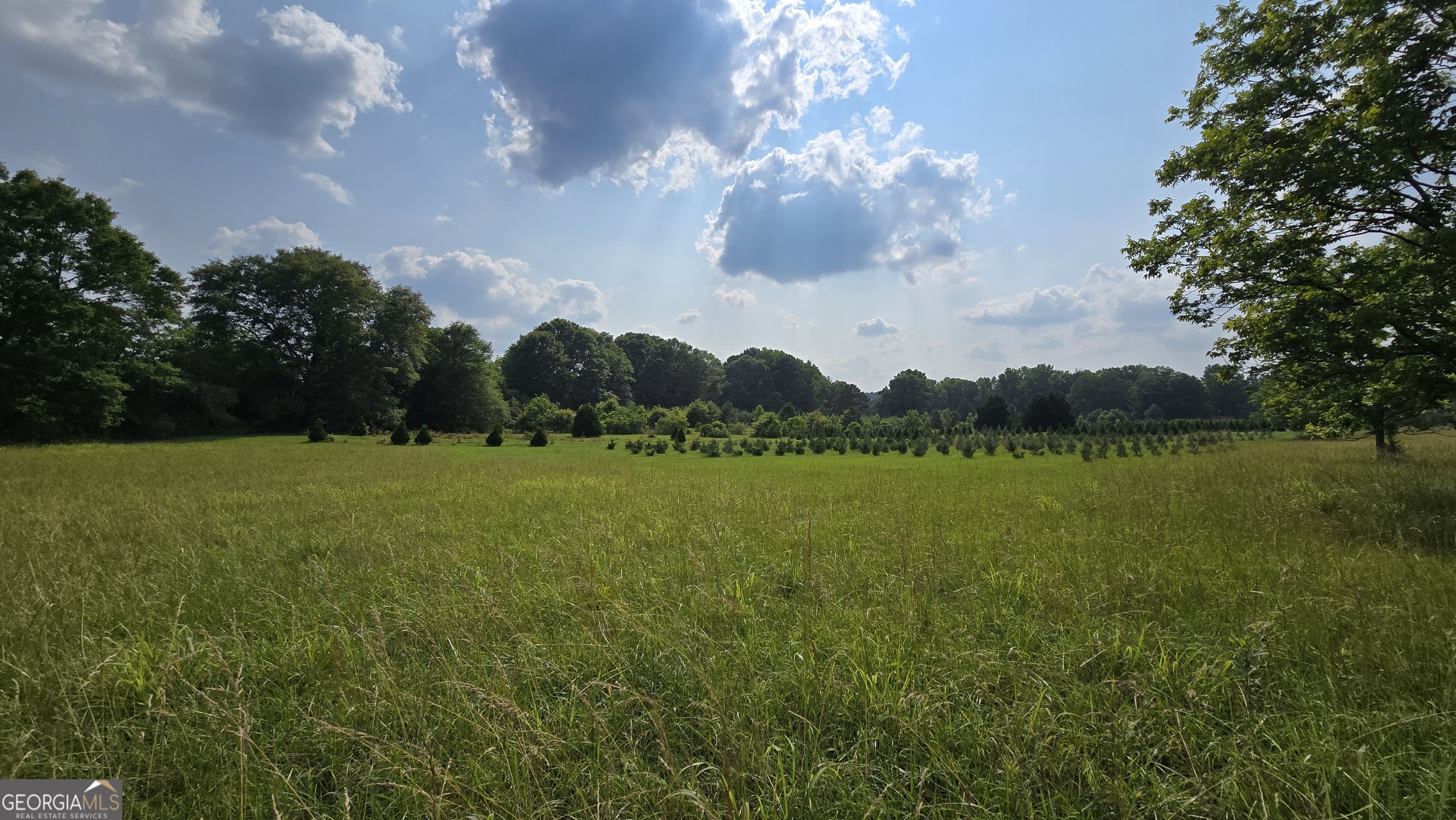 2037 Jeff Davis Road Thomaston, GA 30286 - Photo 30 of 60 a view of a golf course with a lake