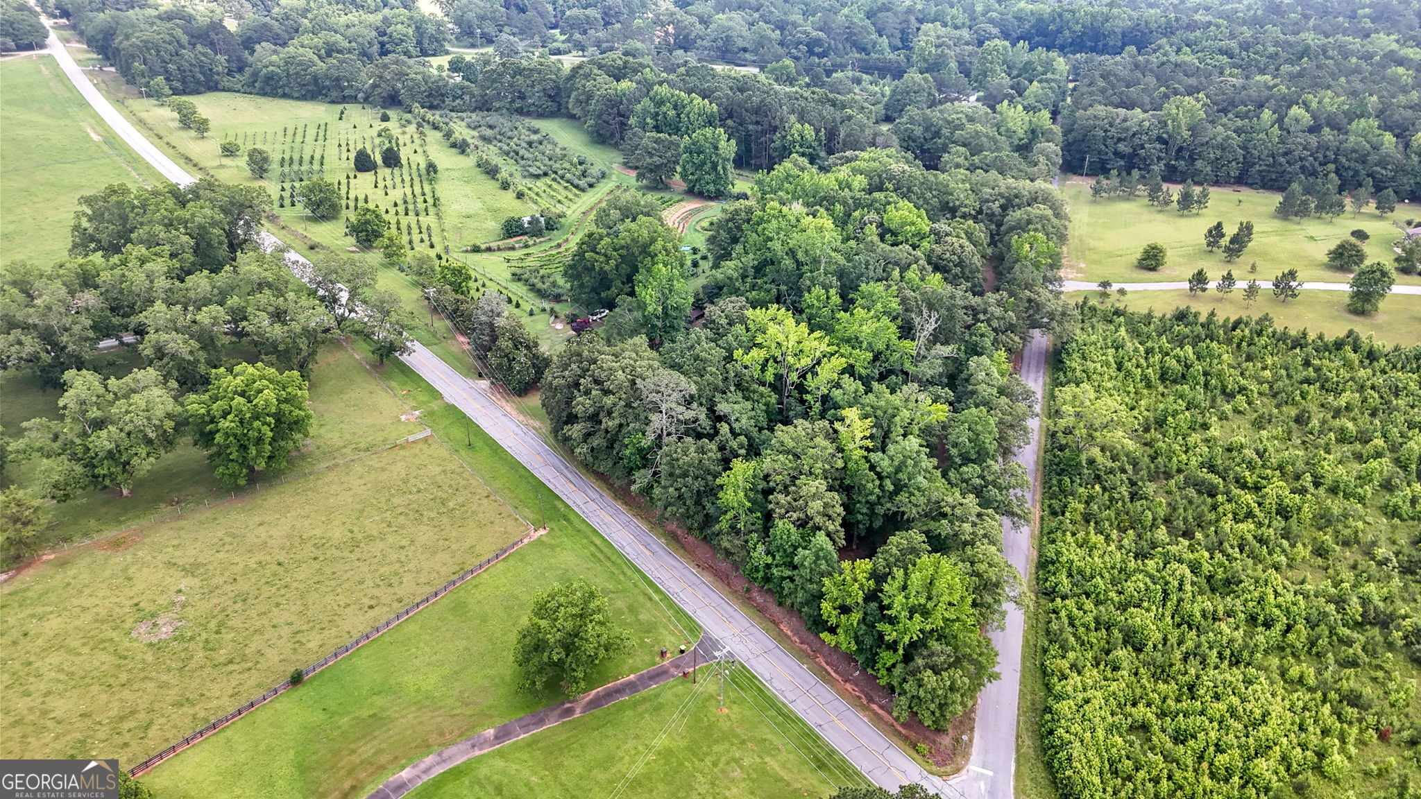 2037 Jeff Davis Road Thomaston, GA 30286 - Photo 3 of 60 a view of a yard with plants