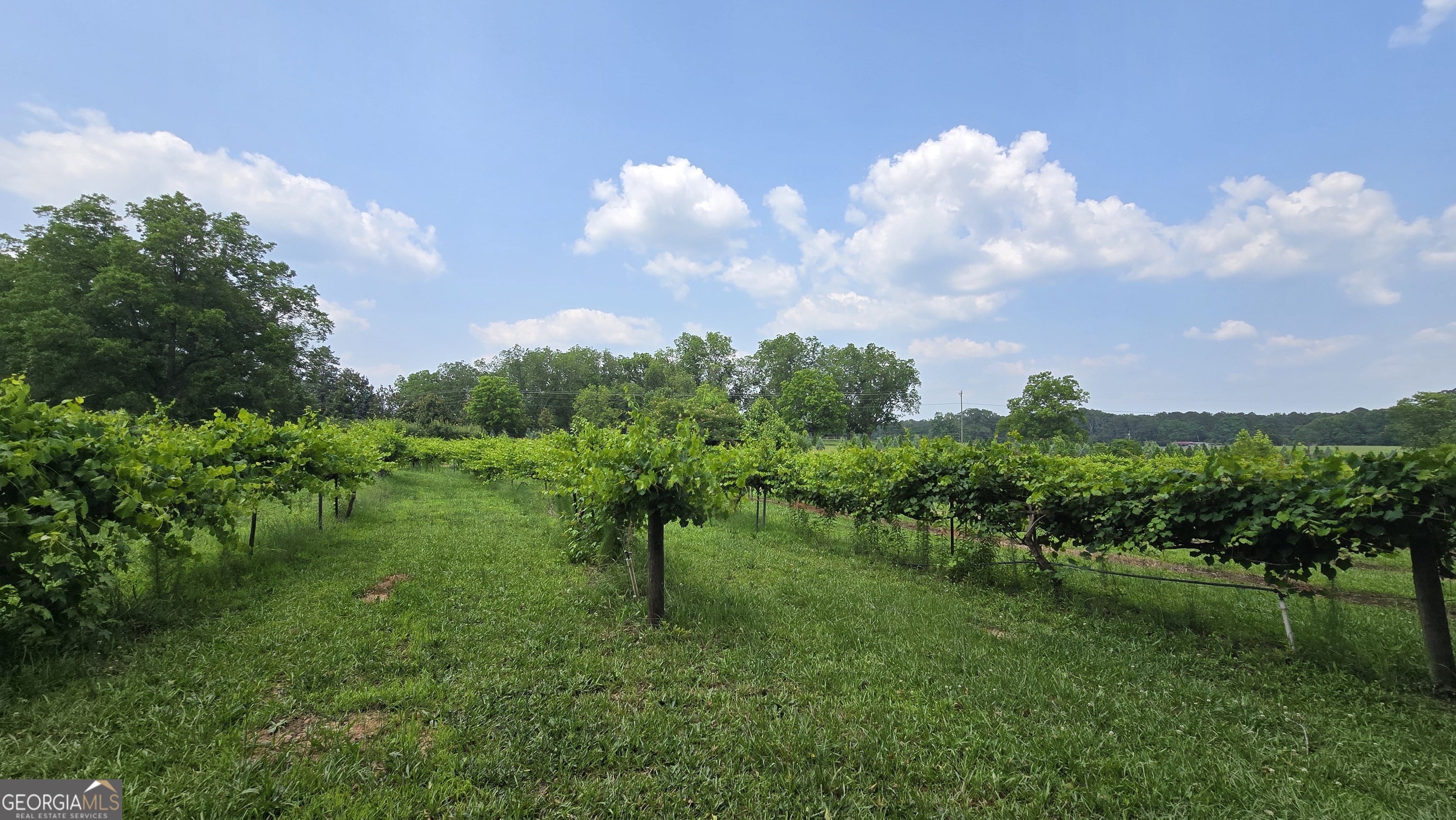 2037 Jeff Davis Road Thomaston, GA 30286 - Photo 31 of 60