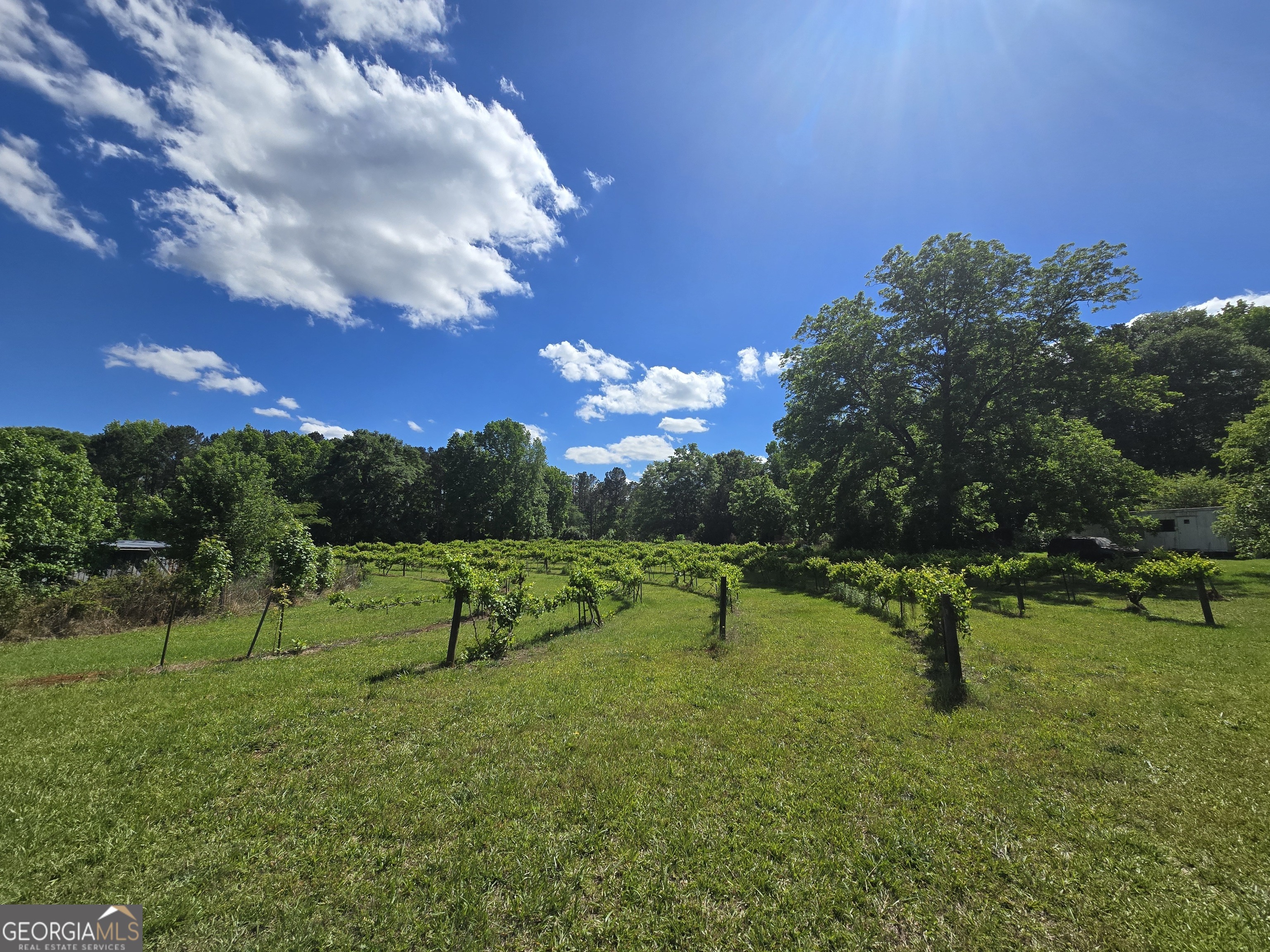 2037 Jeff Davis Road Thomaston, GA 30286 - Photo 32 of 60