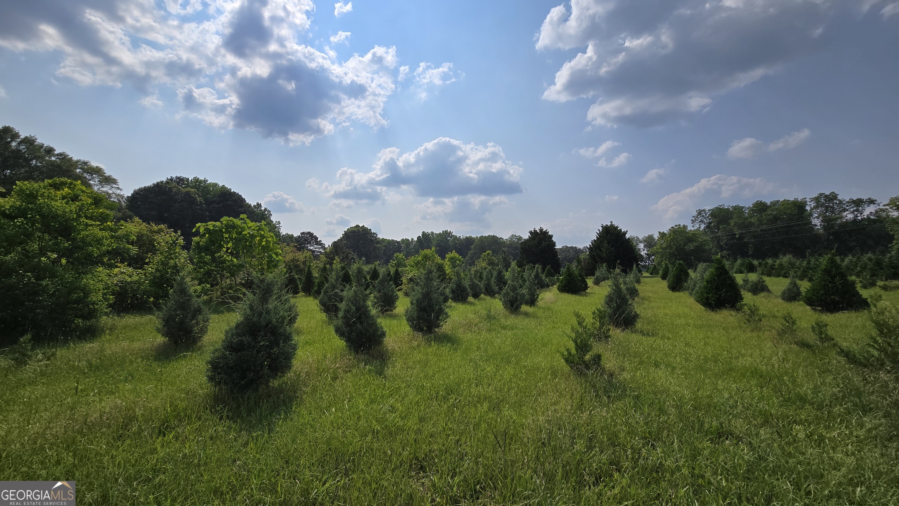2037 Jeff Davis Road Thomaston, GA 30286 - Photo 35 of 60 a view of a lake and green space