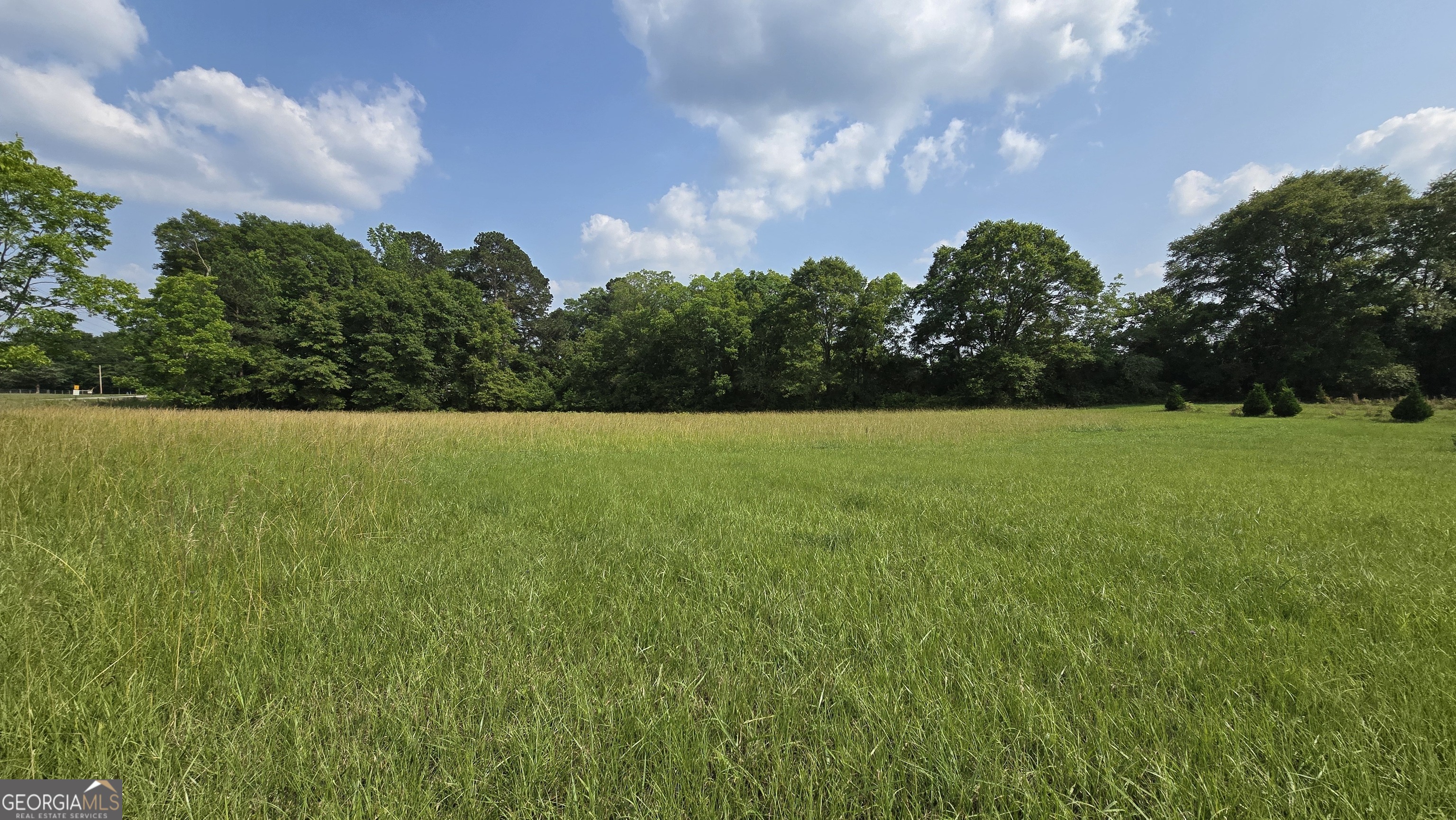 2037 Jeff Davis Road Thomaston, GA 30286 - Photo 36 of 60 a view of a garden with a building in the background