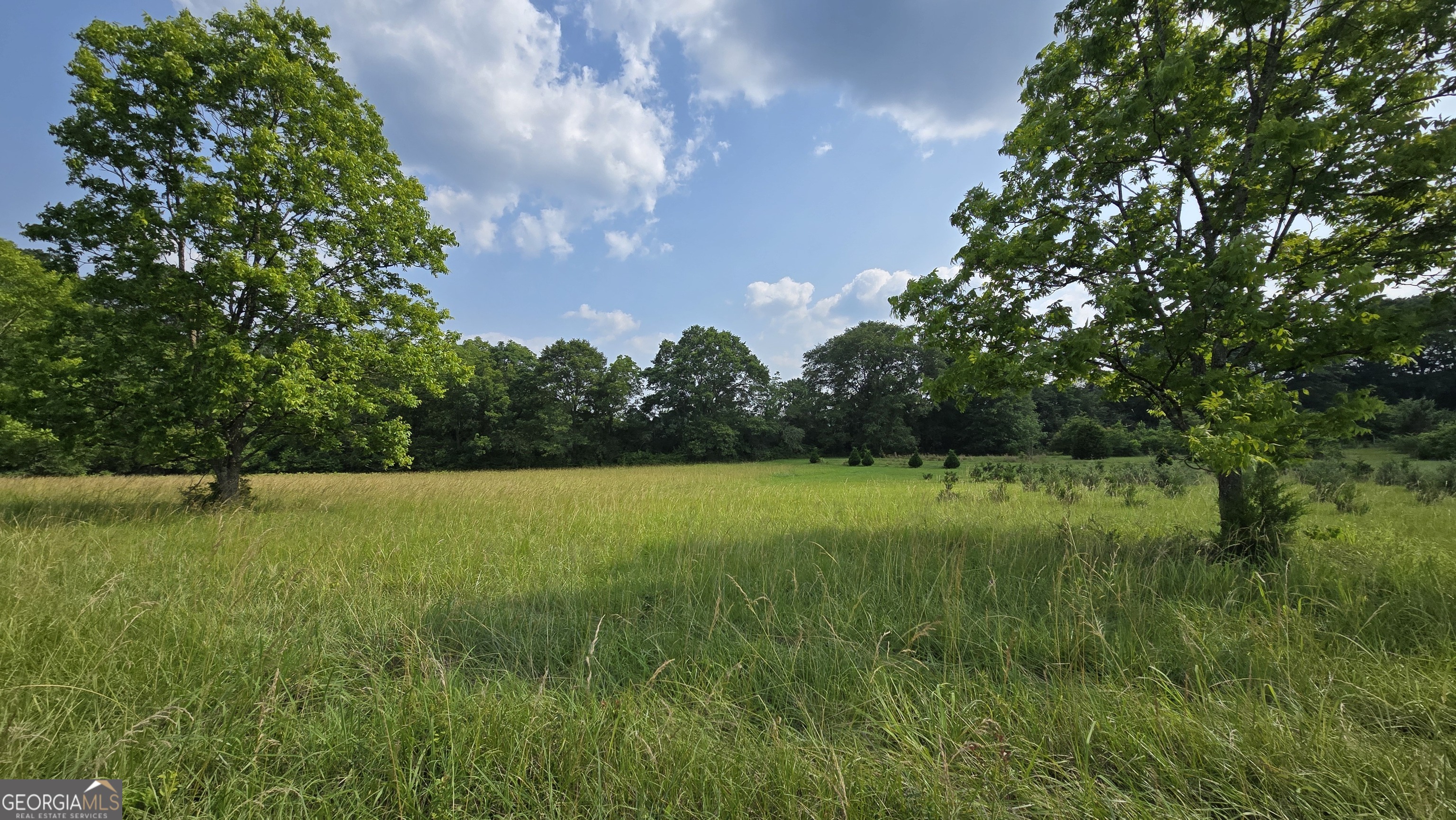 2037 Jeff Davis Road Thomaston, GA 30286 - Photo 37 of 60 a view of outdoor space and yard