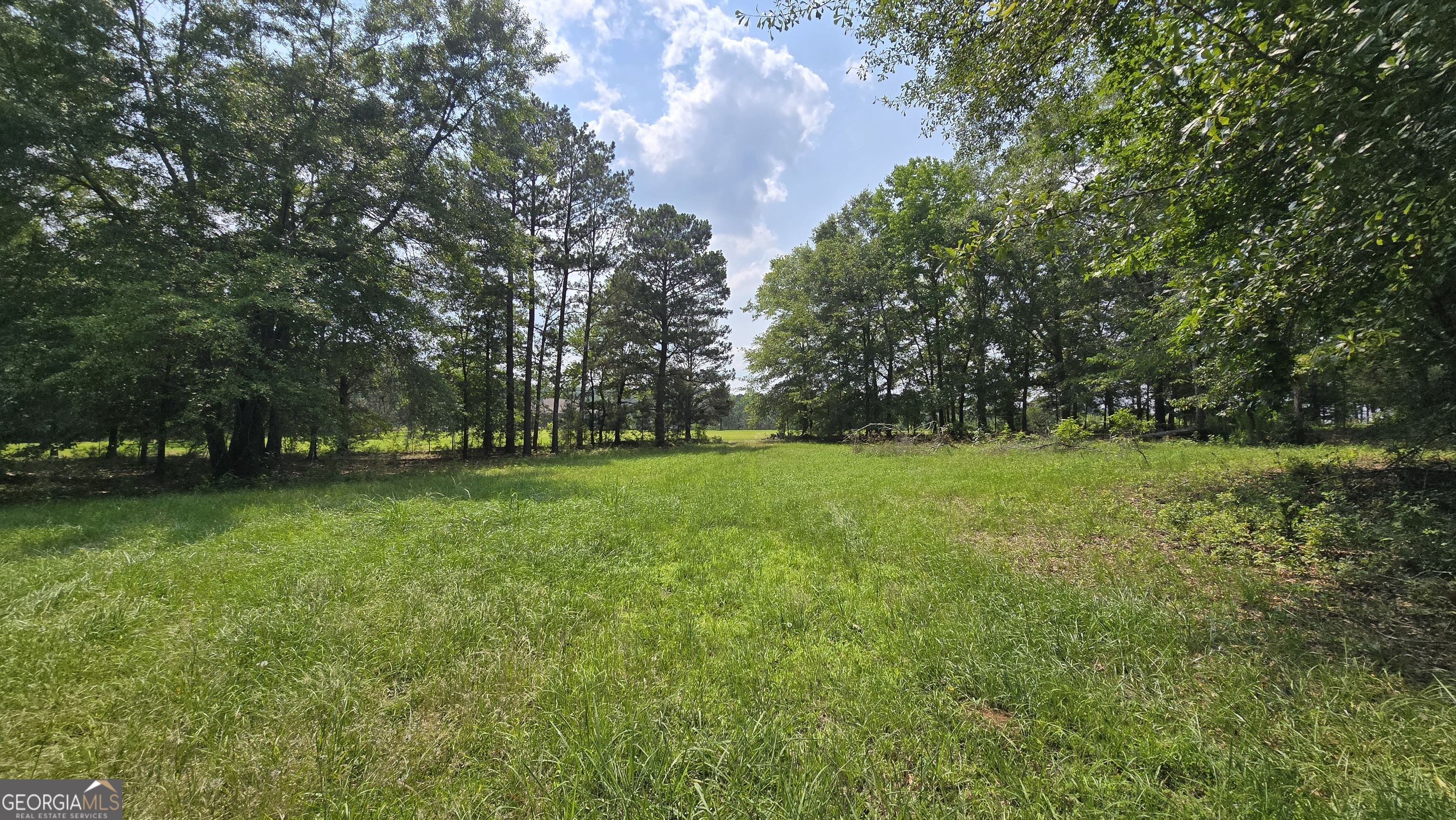 2037 Jeff Davis Road Thomaston, GA 30286 - Photo 39 of 60 a view of green field