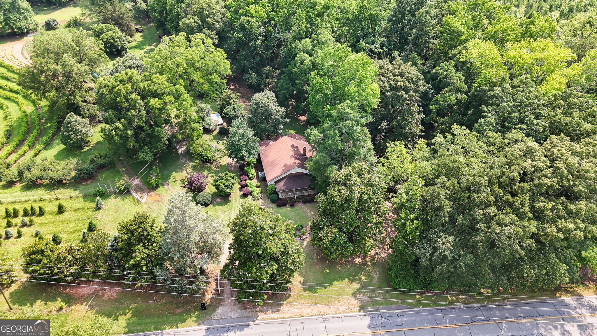 2037 Jeff Davis Road Thomaston, GA 30286 - Photo 4 of 60 a swimming pool with trees in the background
