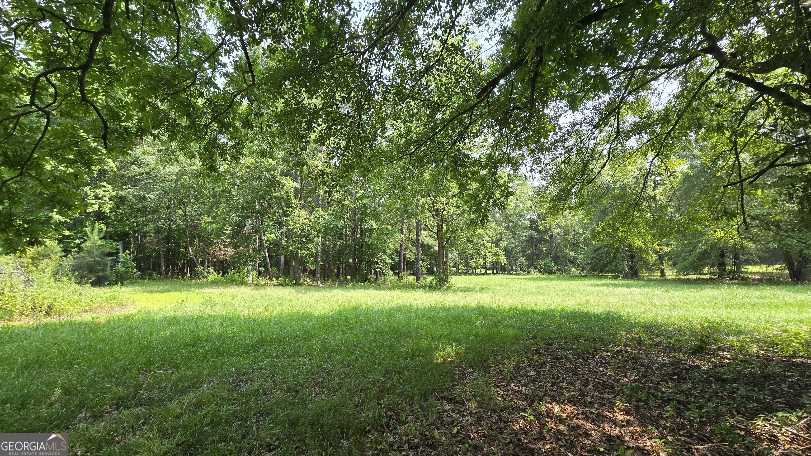 2037 Jeff Davis Road Thomaston, GA 30286 - Photo 41 of 60 a view of a grassy field with trees in the background