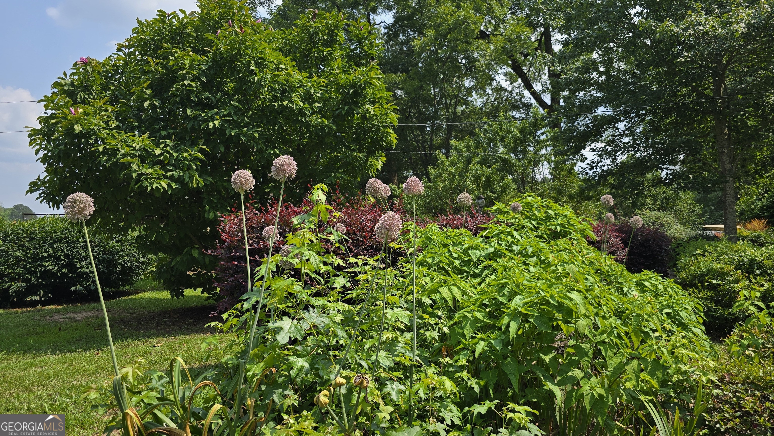 2037 Jeff Davis Road Thomaston, GA 30286 - Photo 43 of 60 a backyard of a house with lots of green space and garden