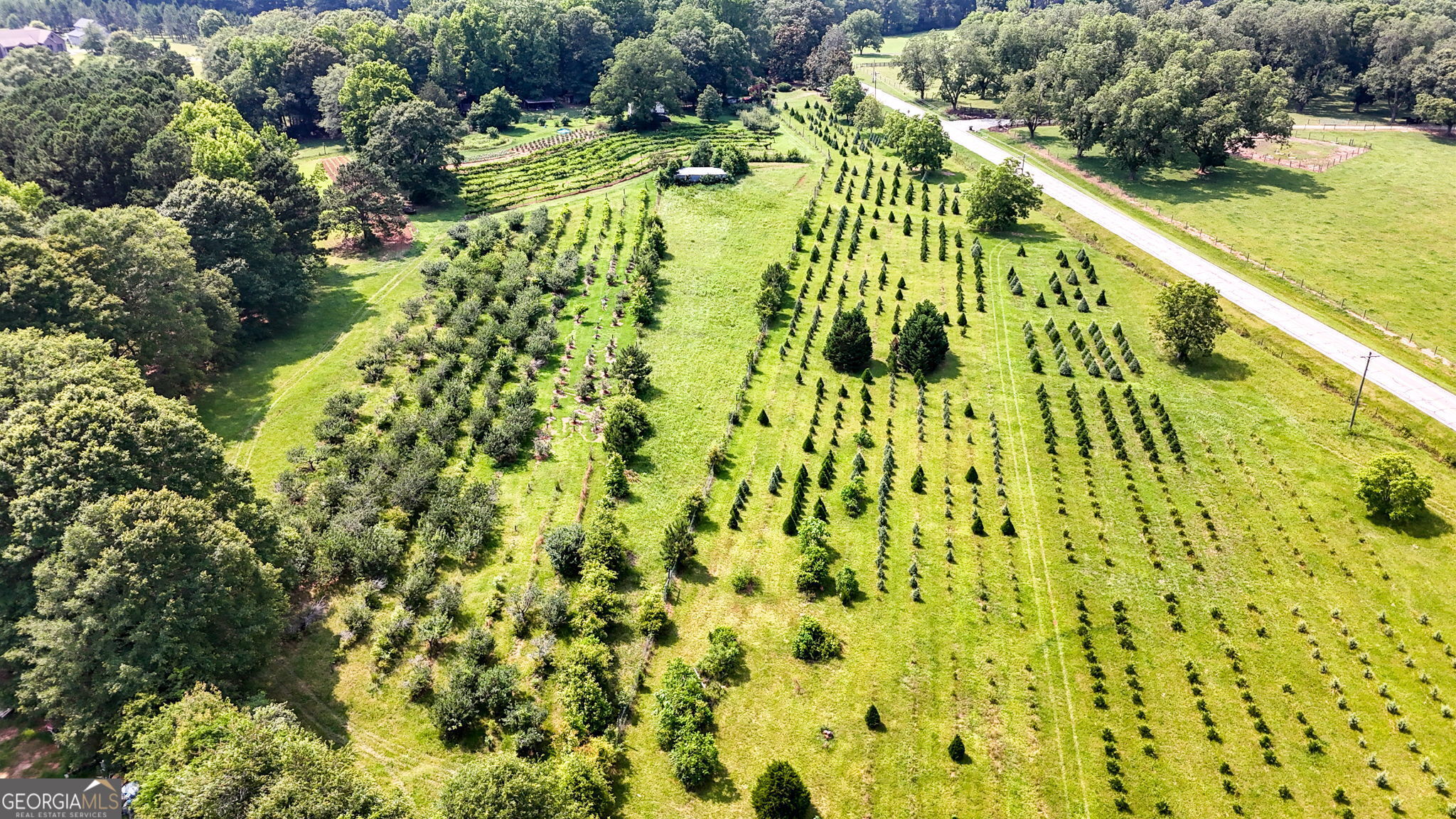 2037 Jeff Davis Road Thomaston, GA 30286 - Photo 5 of 60 a view of an outdoor space and a lake view
