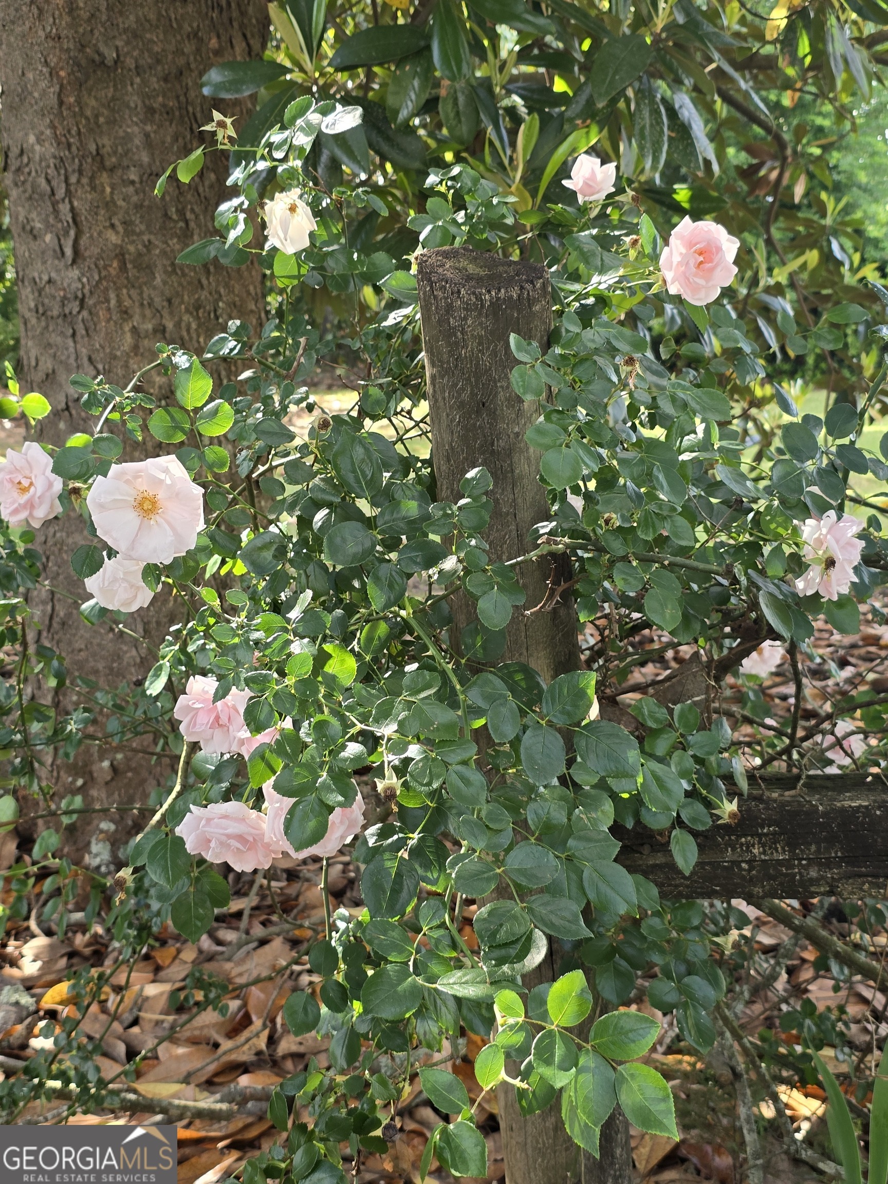 2037 Jeff Davis Road Thomaston, GA 30286 - Photo 51 of 60