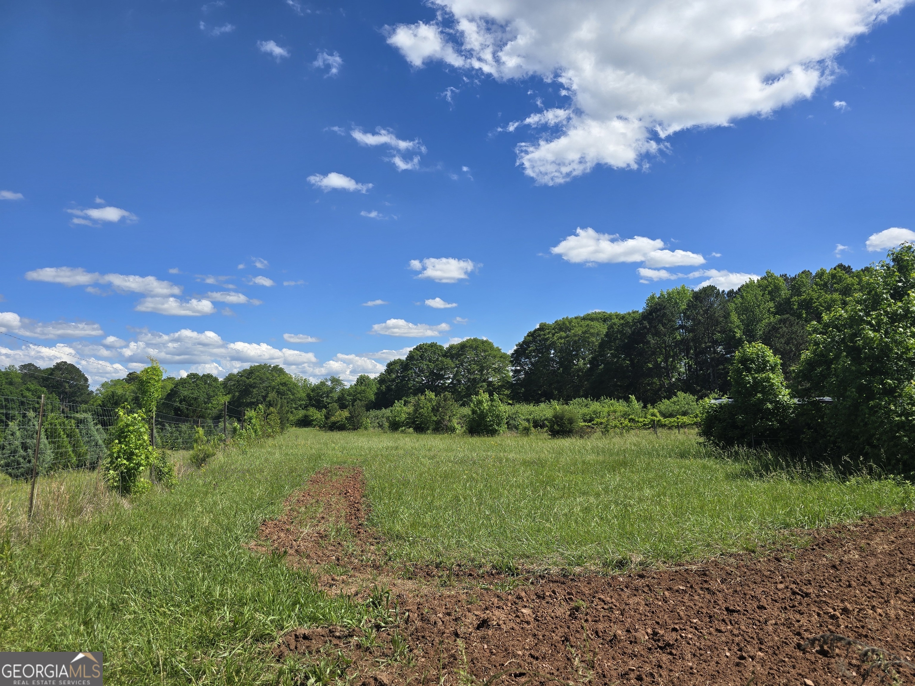 2037 Jeff Davis Road Thomaston, GA 30286 - Photo 52 of 60 a view of a big yard with green space