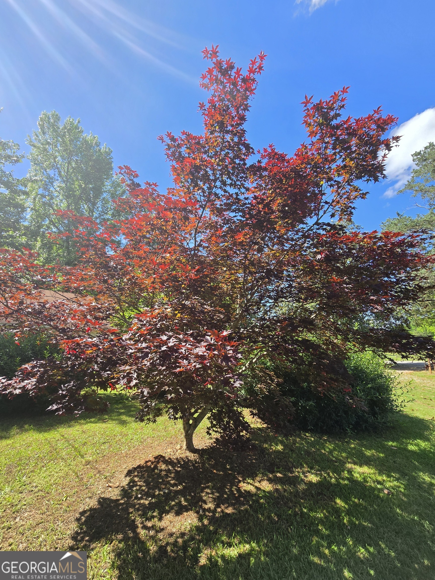 2037 Jeff Davis Road Thomaston, GA 30286 - Photo 53 of 60