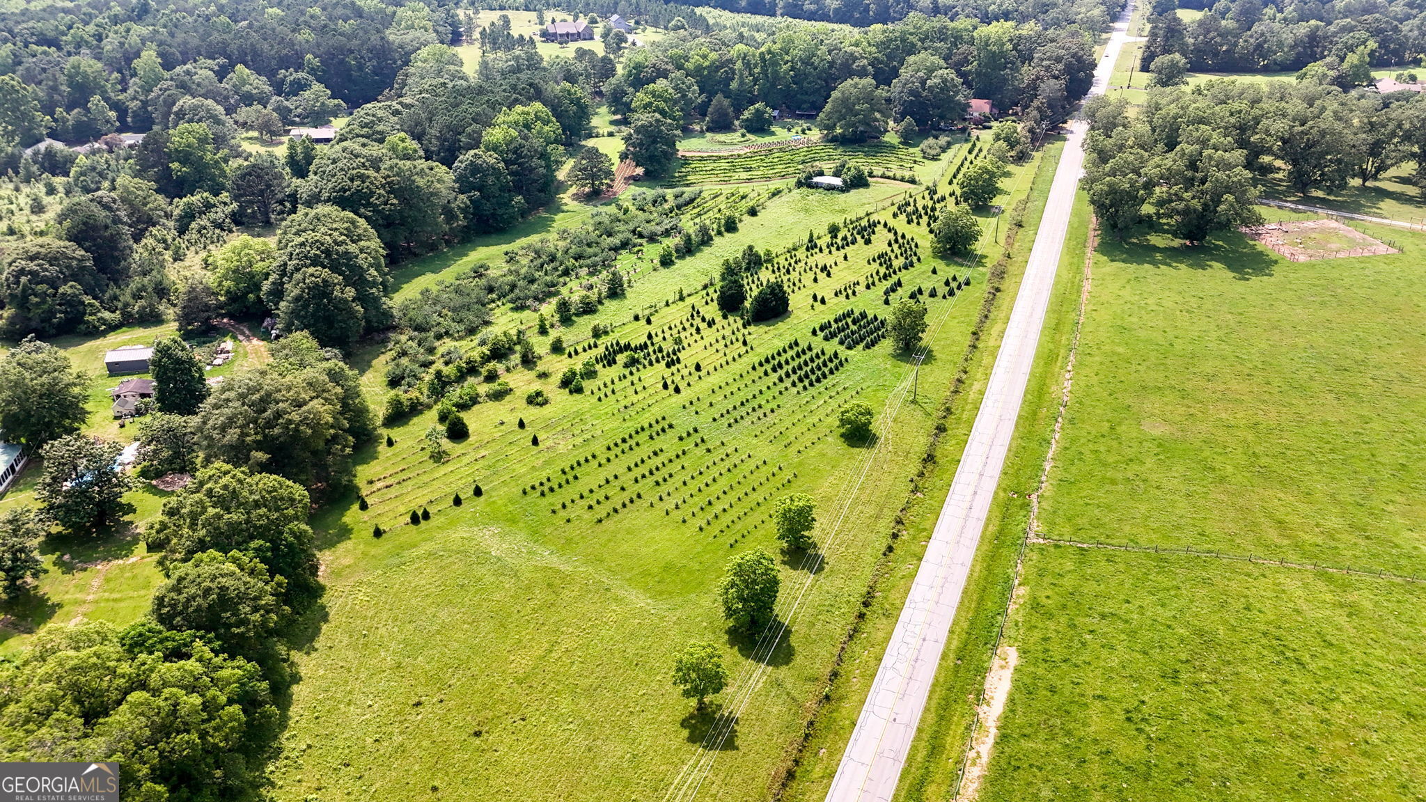 2037 Jeff Davis Road Thomaston, GA 30286 - Photo 57 of 60 a view of a garden