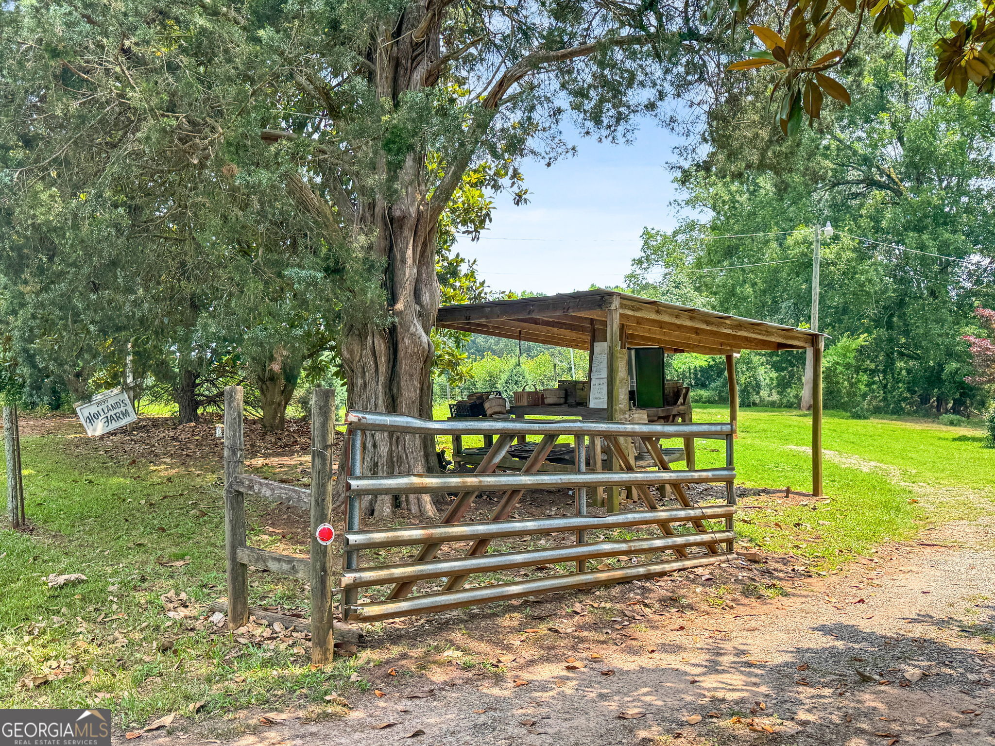 2037 Jeff Davis Road Thomaston, GA 30286 - Photo 59 of 60 a view of a yard with wooden fence