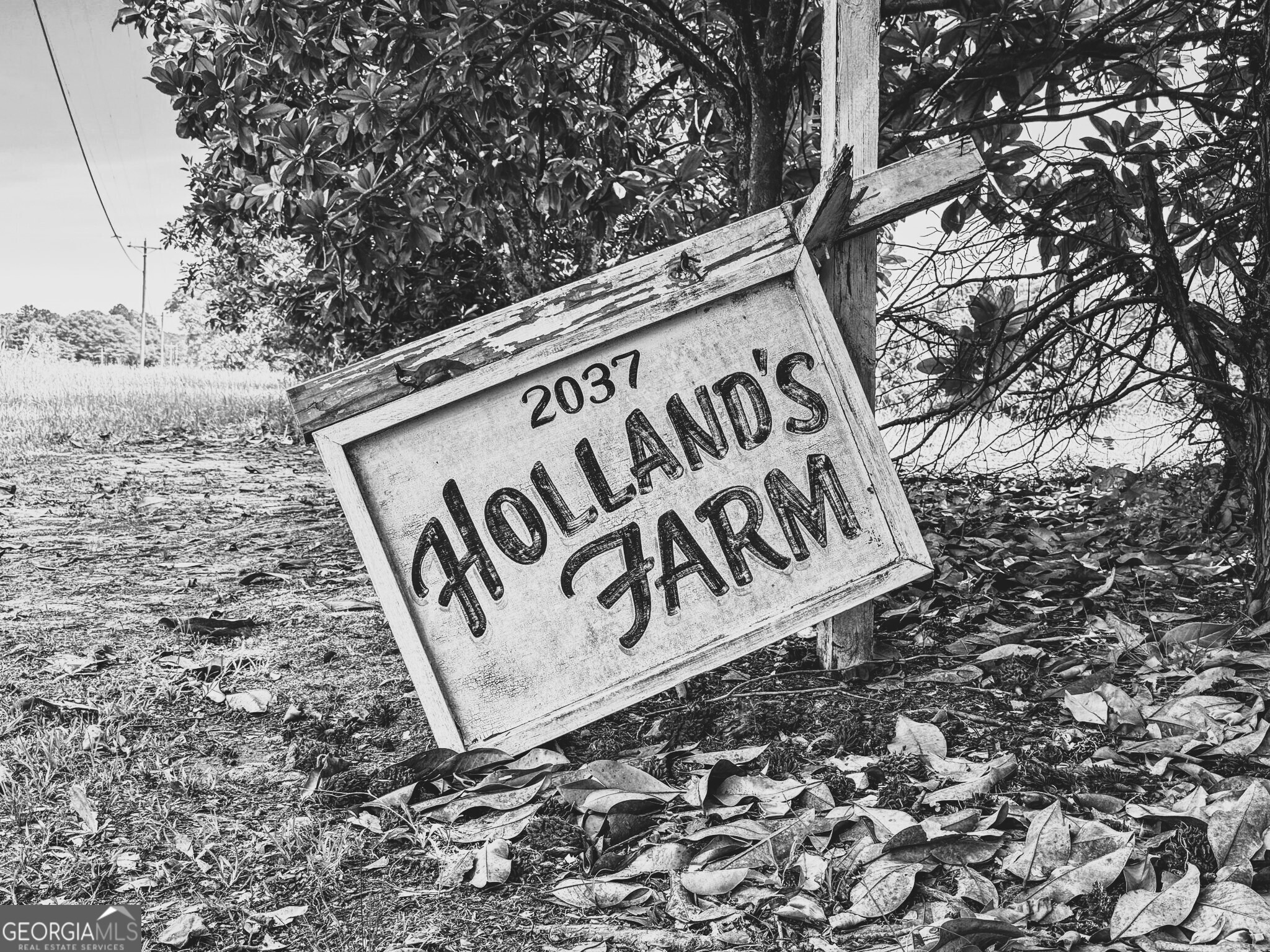 2037 Jeff Davis Road Thomaston, GA 30286 - Photo 60 of 60 a close up of a street sign