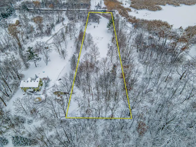 a picture of a tree with a tree