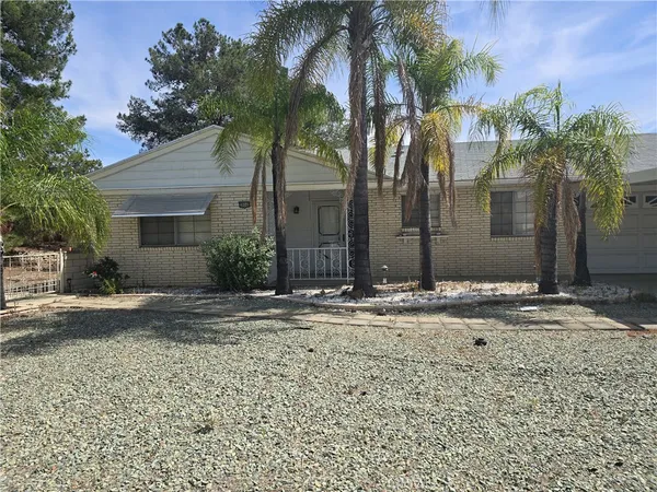 a couple of palm trees in front of house