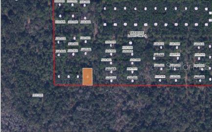 Paradise Lakes Avenue Georgetown, FL 32139 - Photo 3 of 4 a room view