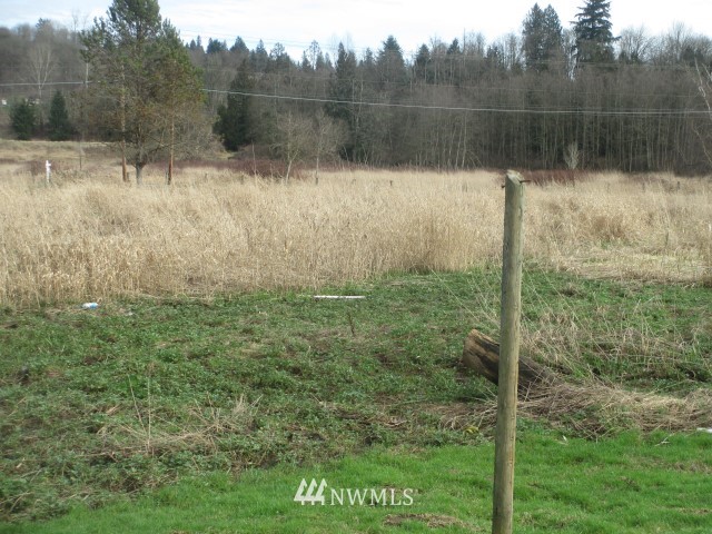 11706 Roosevelt Road Snohomish, WA 98290 - Photo 14 of 14
