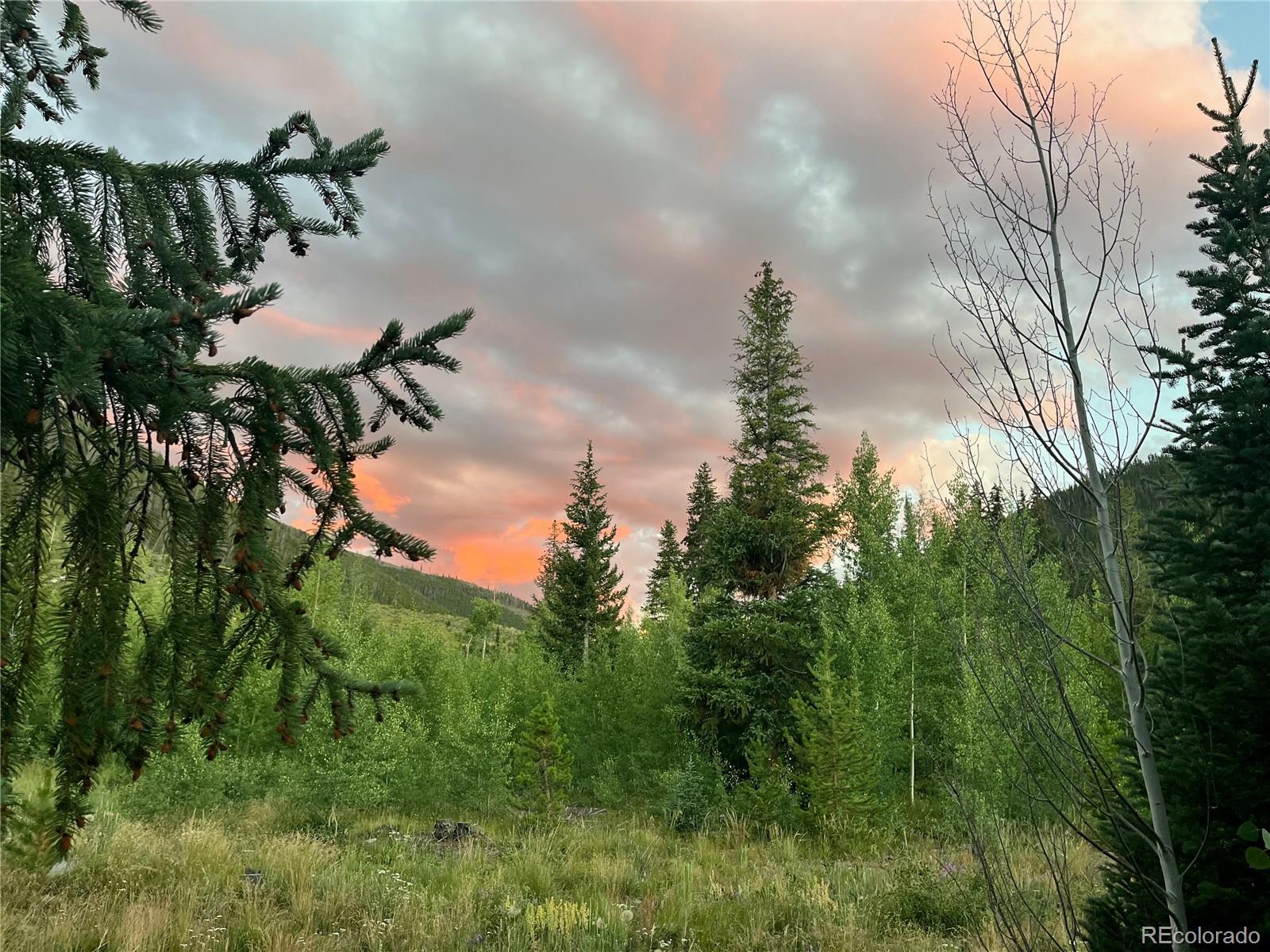 1904 Soda Ridge Road, Unit 1233 Keystone, CO 80435 - Photo 14 of 29 a view of a backyard