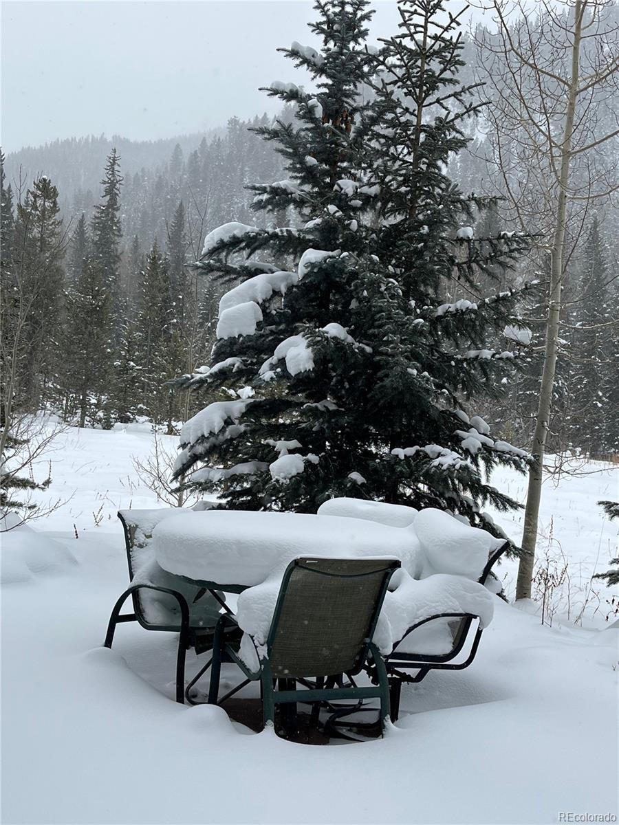 1904 Soda Ridge Road, Unit 1233 Keystone, CO 80435 - Photo 15 of 29 a view of outdoor space with seating area and trees around