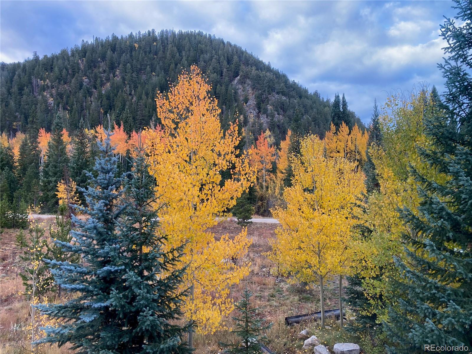 1904 Soda Ridge Road, Unit 1233 Keystone, CO 80435 - Photo 17 of 29 a view of outside plants and trees