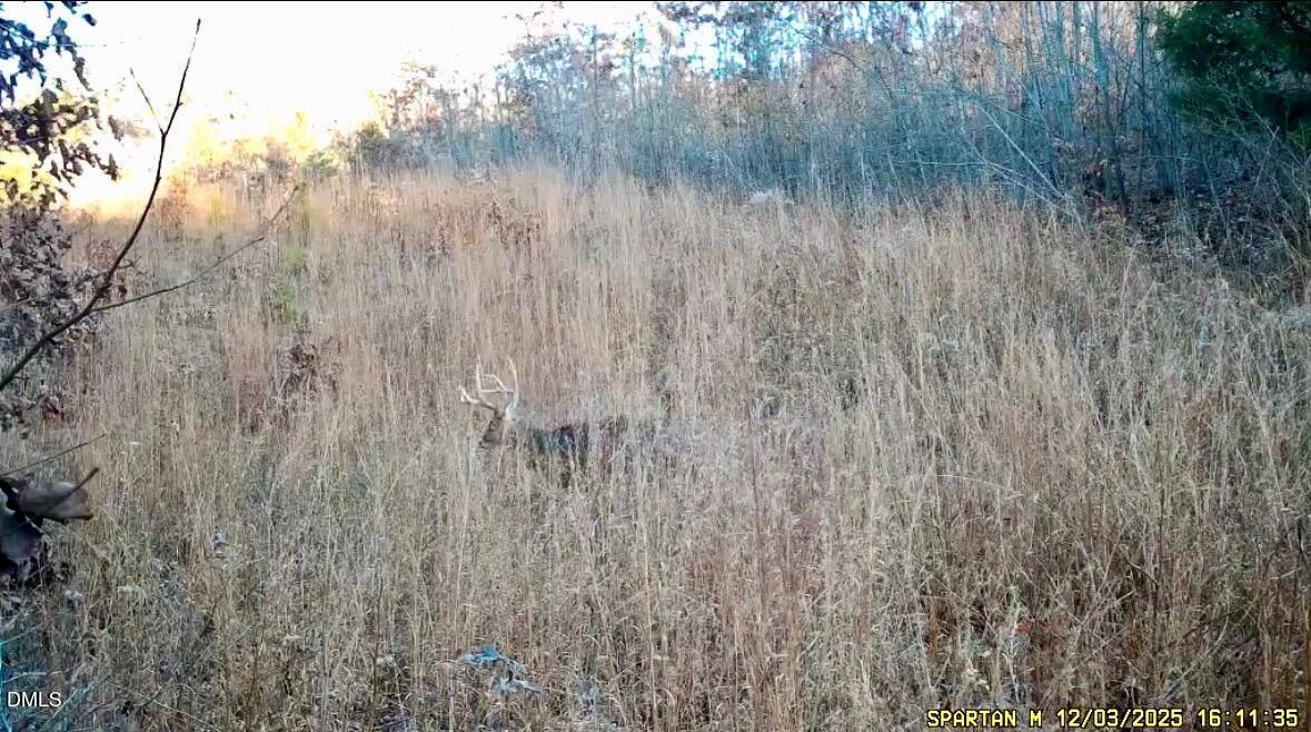 135 Barker Road Semora, NC 27343 - Photo 10 of 14 Wildlife photo