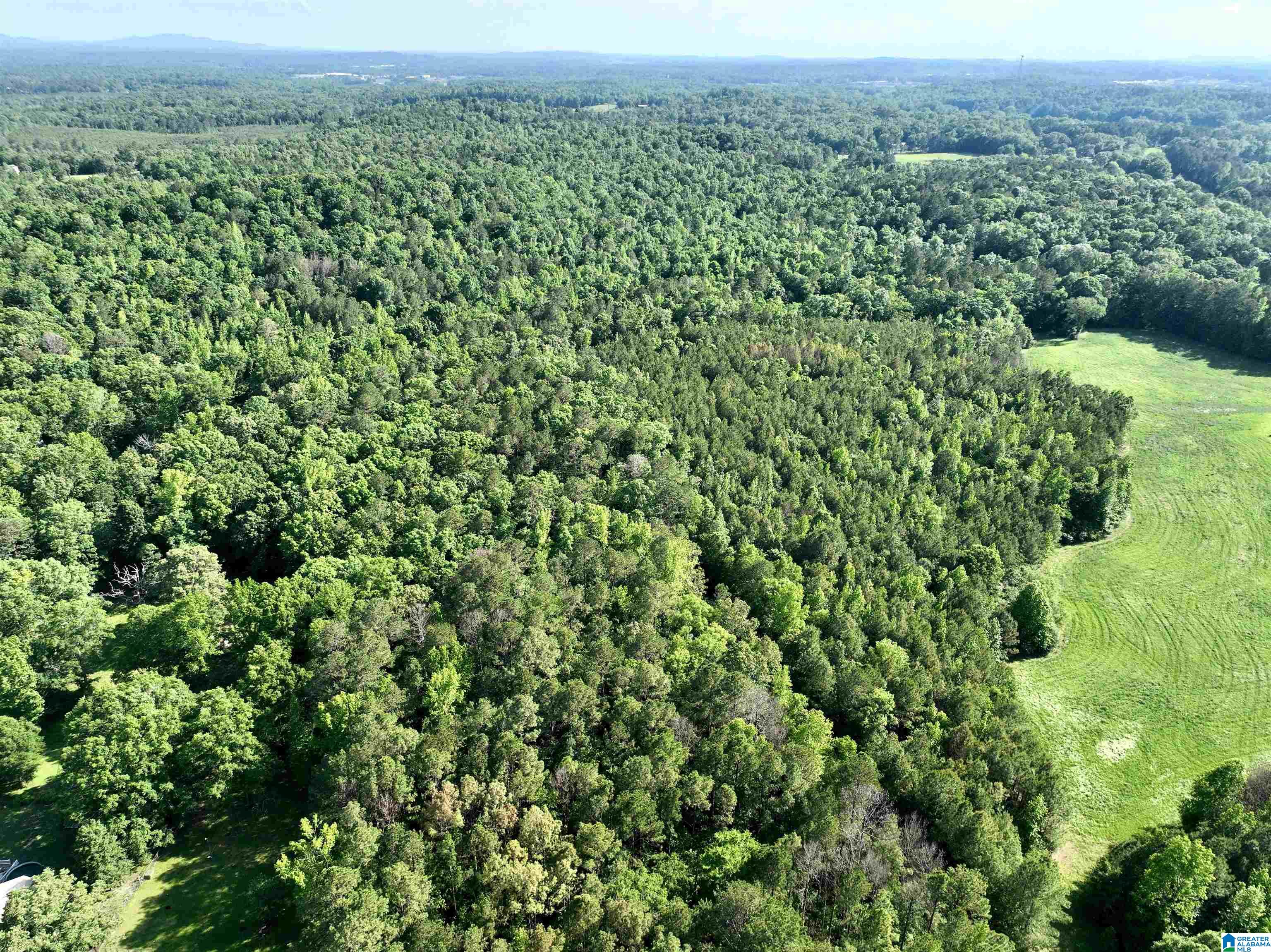 154 Deer Trace Road, Unit X Pell City, AL 35125 - Photo 4 of 6