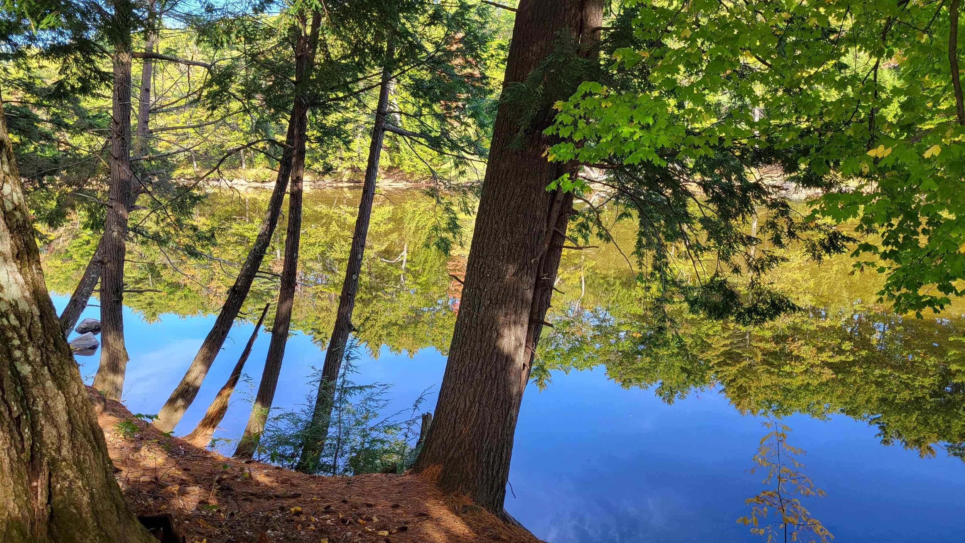 196 East Main Street, Unit 5 (OLD 103) Conway, NH 03818 - Photo 36 of 37