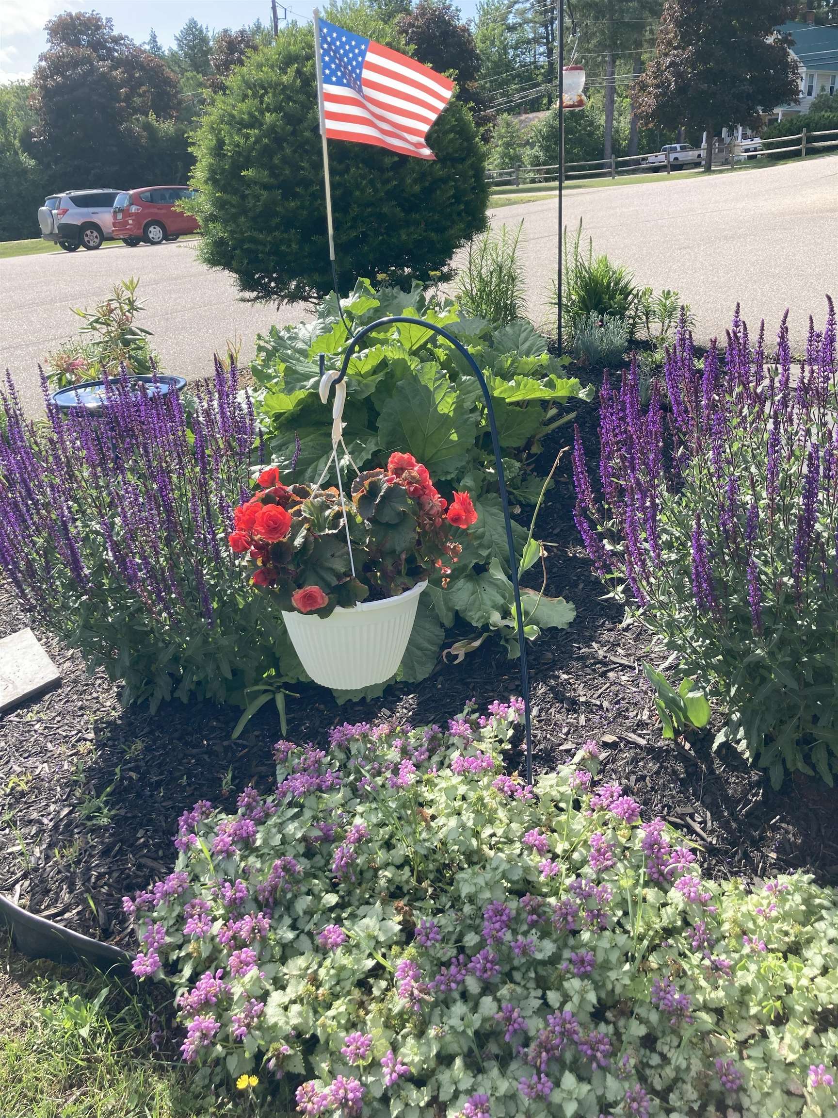 196 East Main Street, Unit 5 (OLD 103) Conway, NH 03818 - Photo 9 of 37