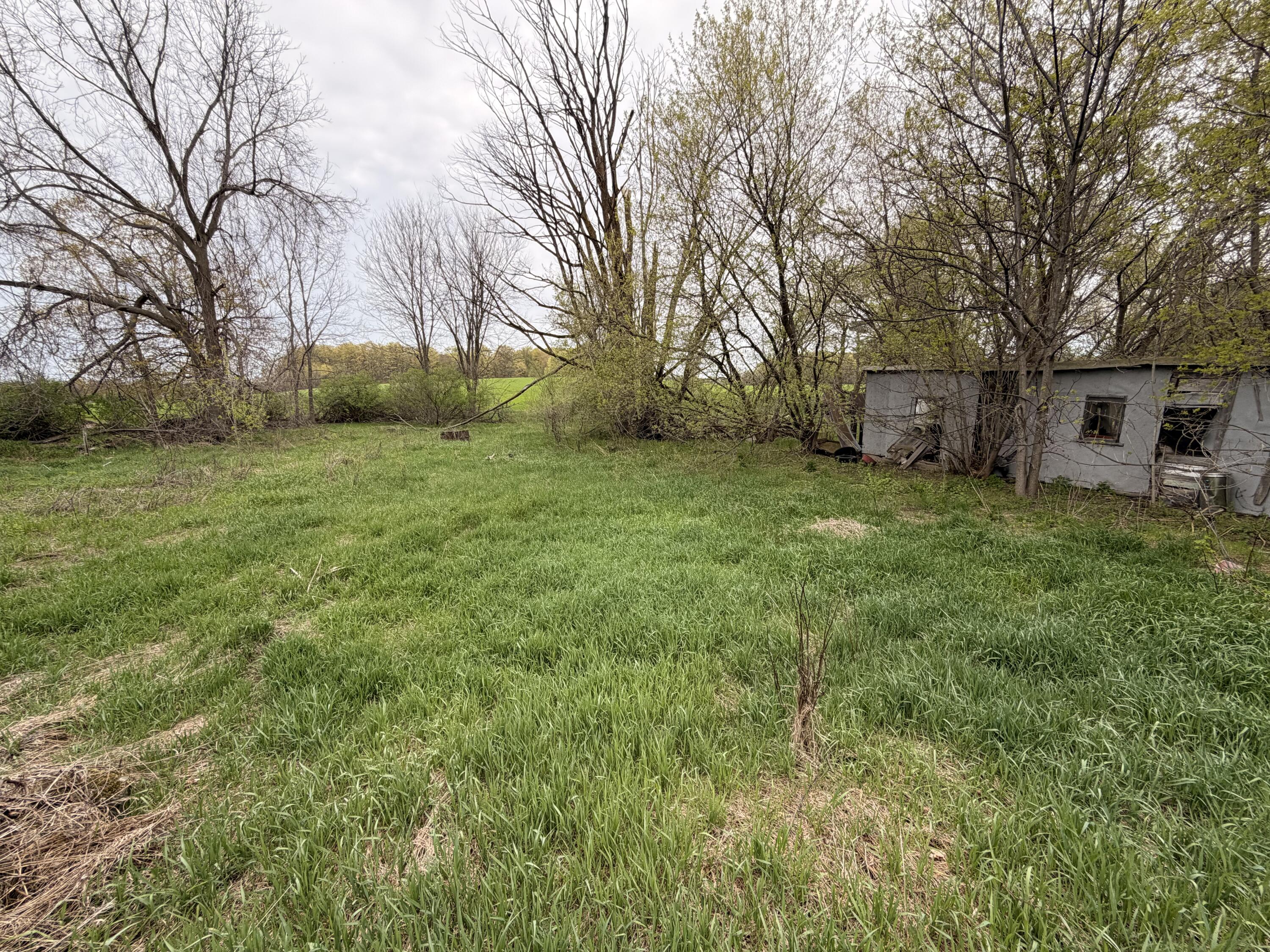 1734 East Wilson Road Custer, MI 49405 - Photo 22 of 24 outbuilding