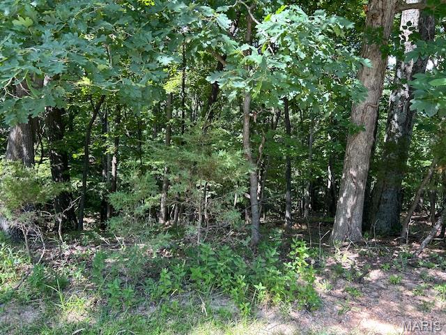 817 Wildflower Valley Road High Ridge, MO 63049 - Photo 6 of 11