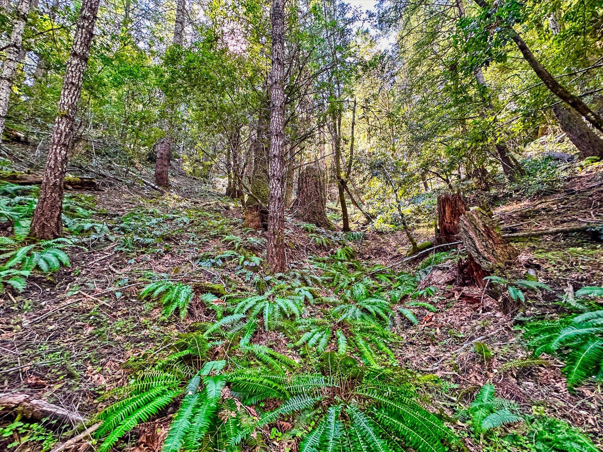 1400 Titlow Hill Road Blue Lake, CA 95525 - Photo 12 of 14