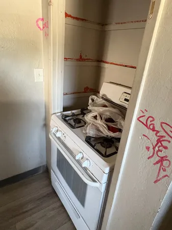 a view of a yard with plants