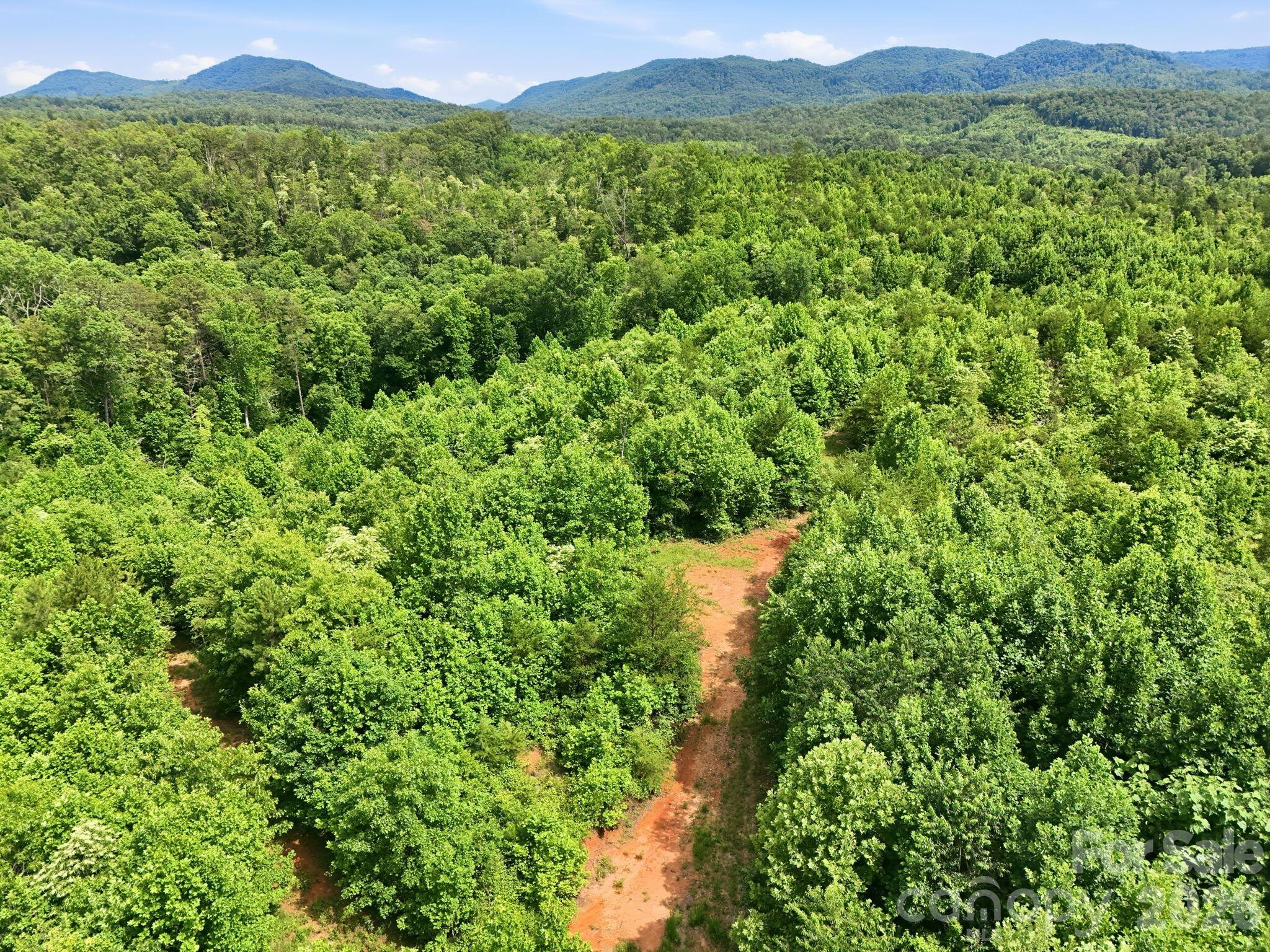 2301 Parker Padgett Road Old Fort, NC 28762 - Photo 12 of 17
