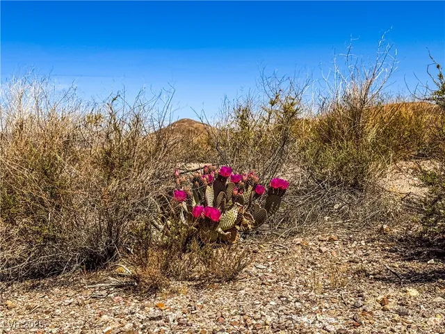 $50,000,000 | 120 Old Spanish Trail Highway, Tecopa, CA 92389