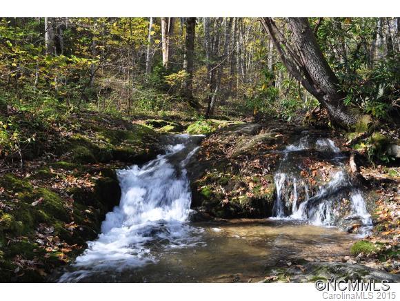 0 Roaring Fork Road Hot Springs, NC 28743 - Photo 1 of 1 Gallery Image 1