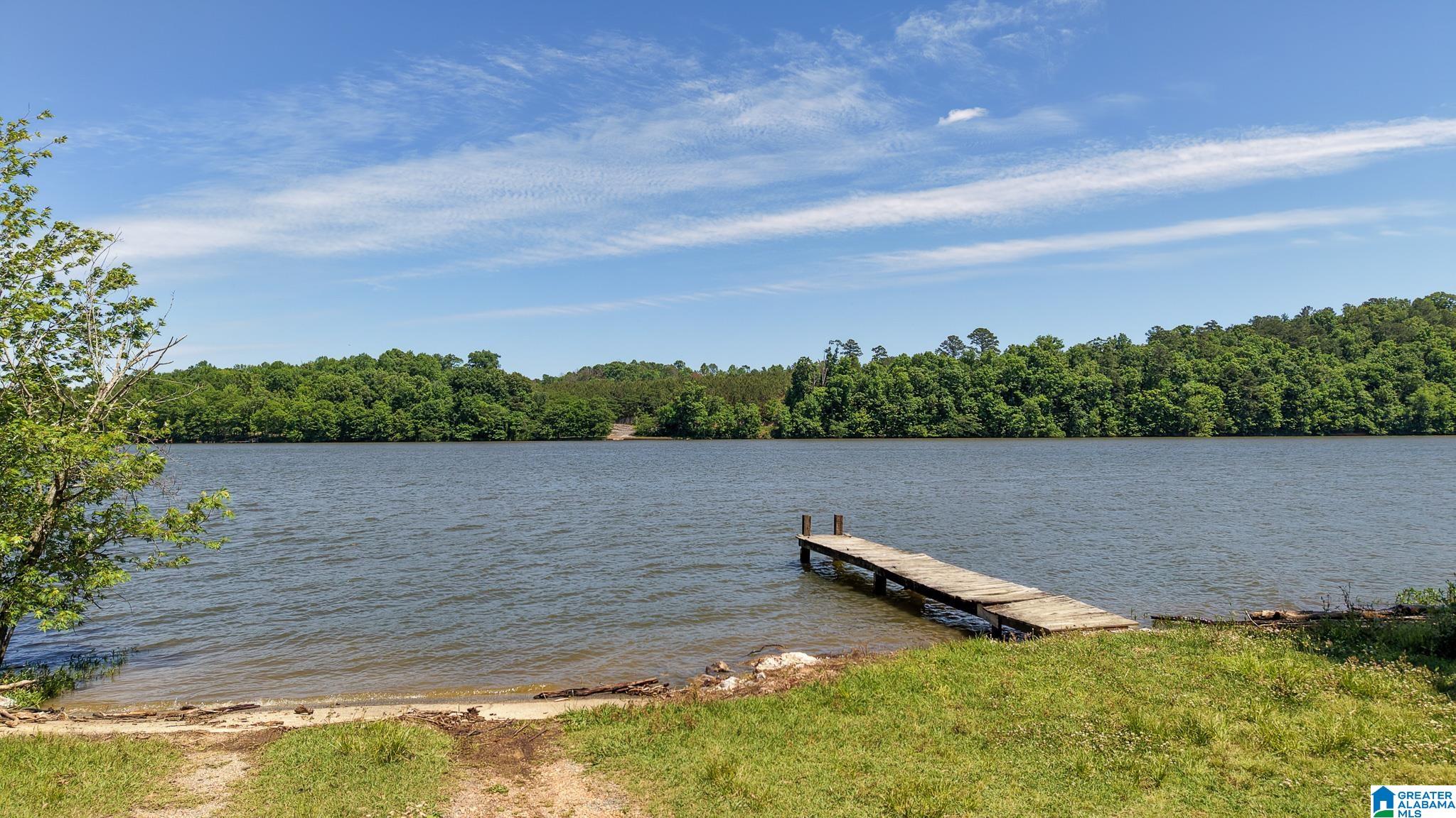 885 Lock 4 Road Riverside, AL 35135 - Photo 62 of 68