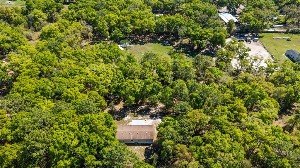 8415 Southwest 41st Place Road Ocala, FL 34481 - Photo 45 of 48