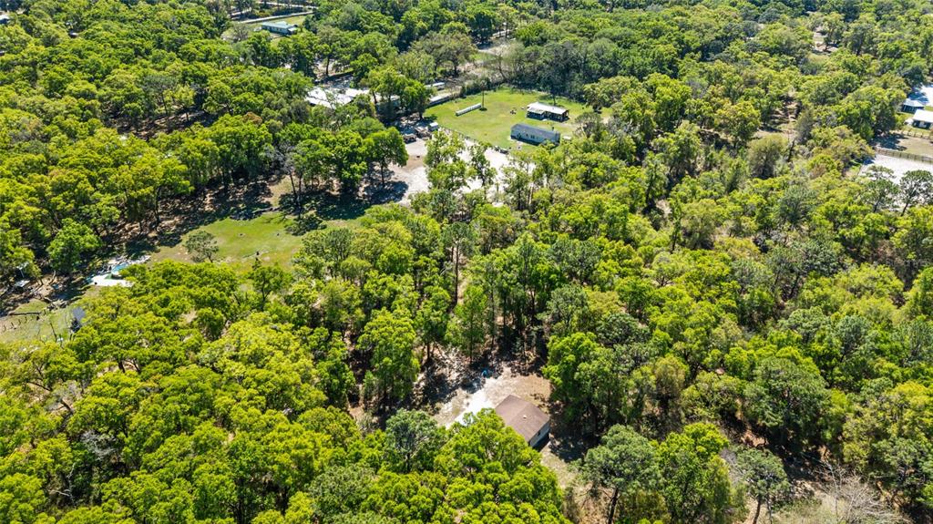 8415 Southwest 41st Place Road Ocala, FL 34481 - Photo 47 of 48