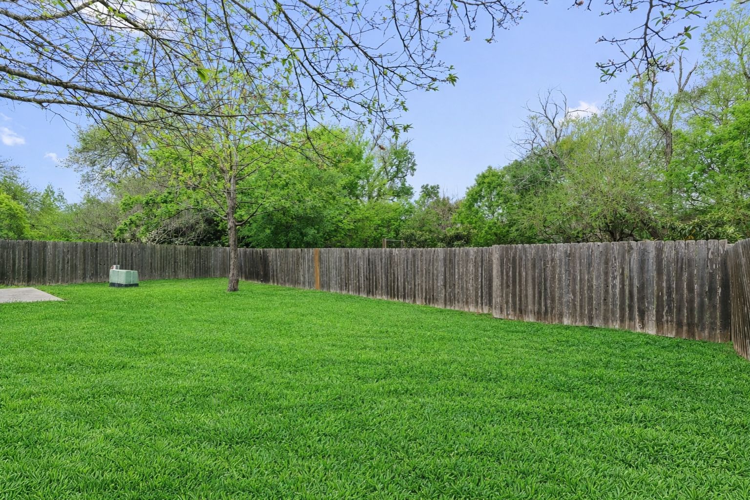 14818 Yellowleaf Trail Austin, TX 78728 - Photo 22 of 40 a view of a yard with a fence and trees