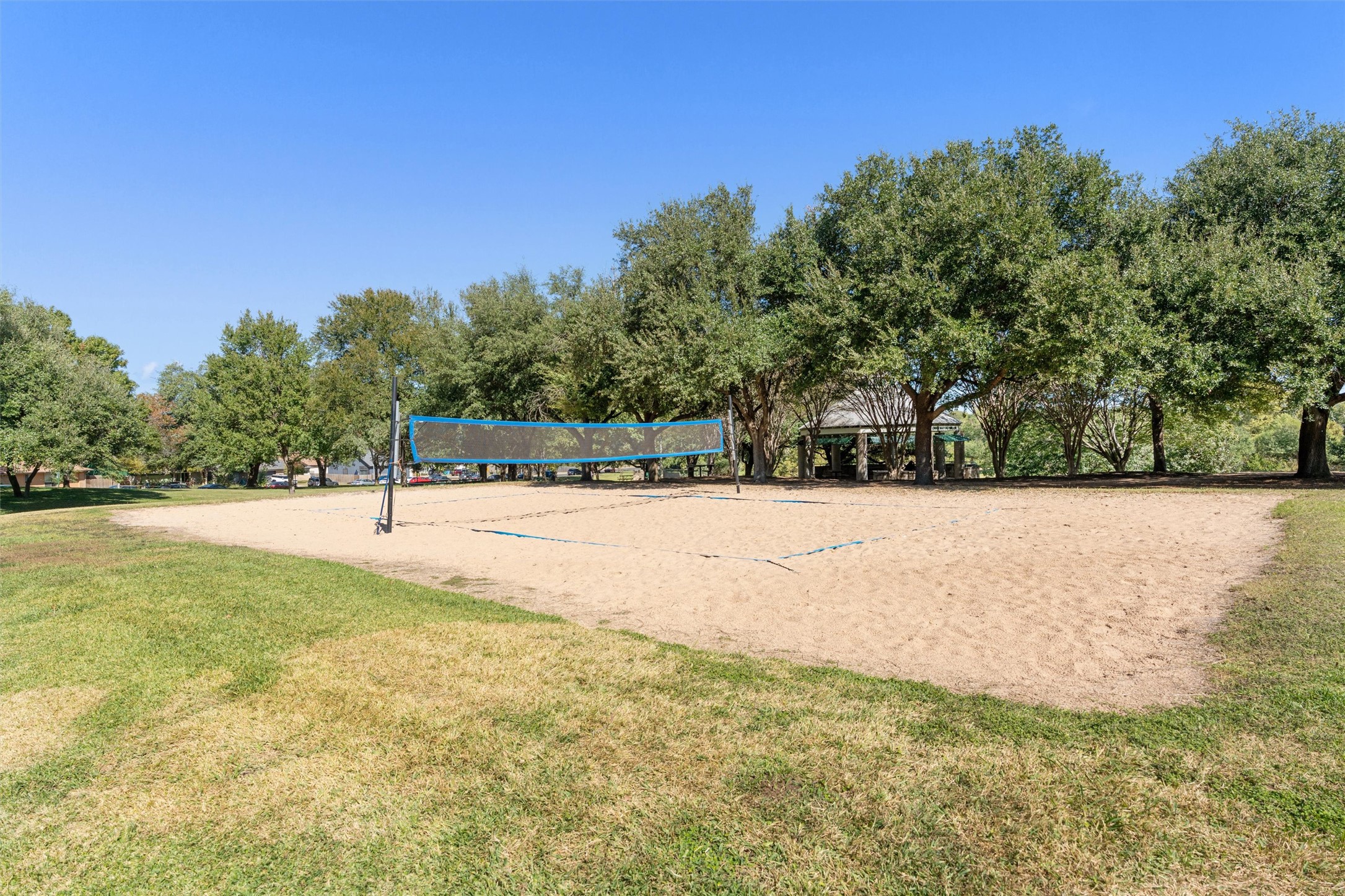 14818 Yellowleaf Trail Austin, TX 78728 - Photo 33 of 40 a view of yard