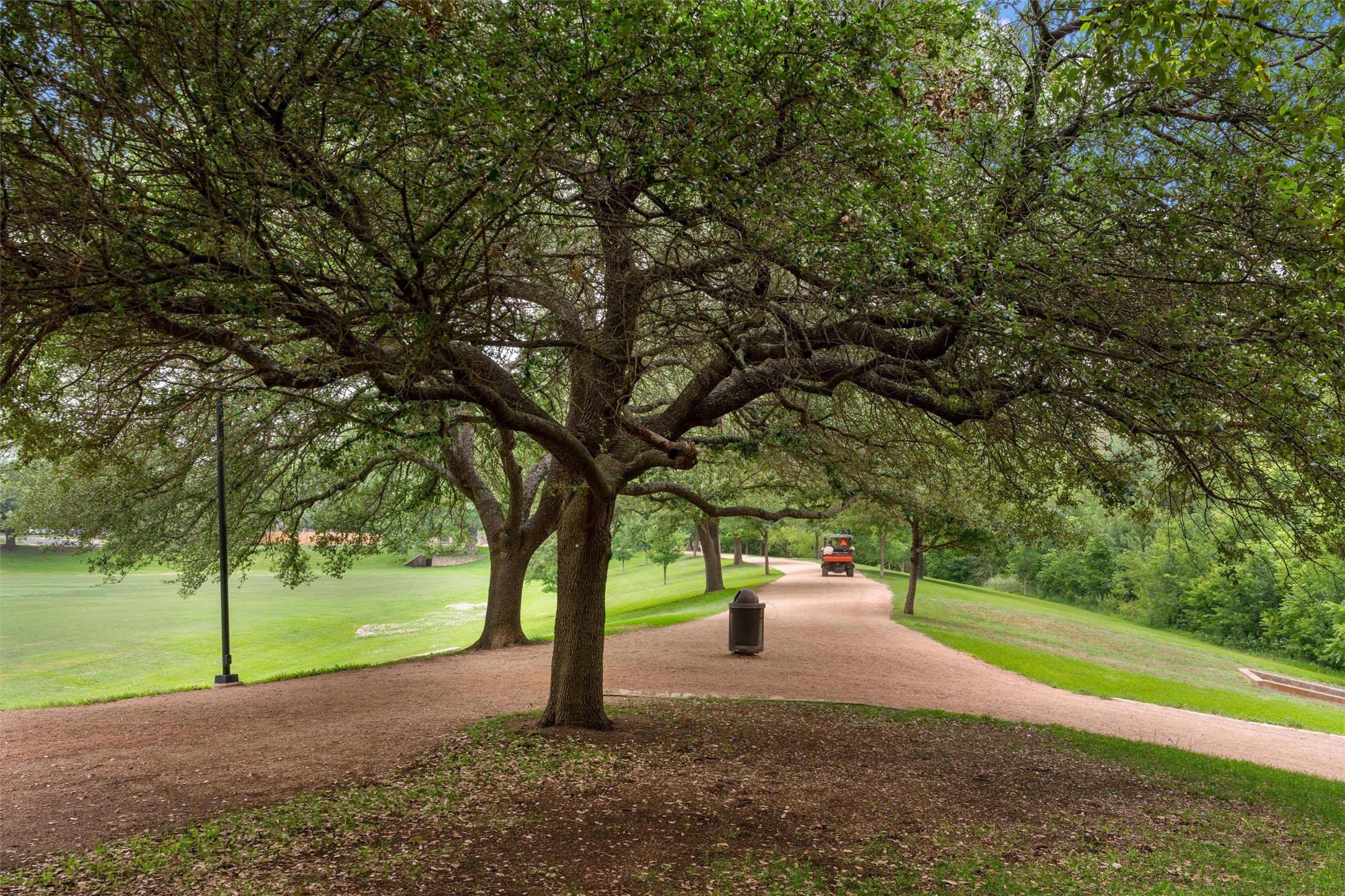 14818 Yellowleaf Trail Austin, TX 78728 - Photo 37 of 40 a view of a park with tree s